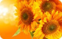 2648a3b6-0f71-4eb5-a6e1-4f69a5e457d5